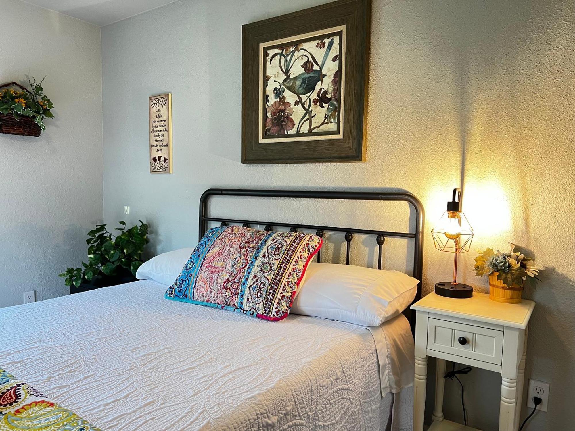 Boho Bliss- Cozy Private Room 2 Miles From Alamodome! San Antonio Eksteriør billede